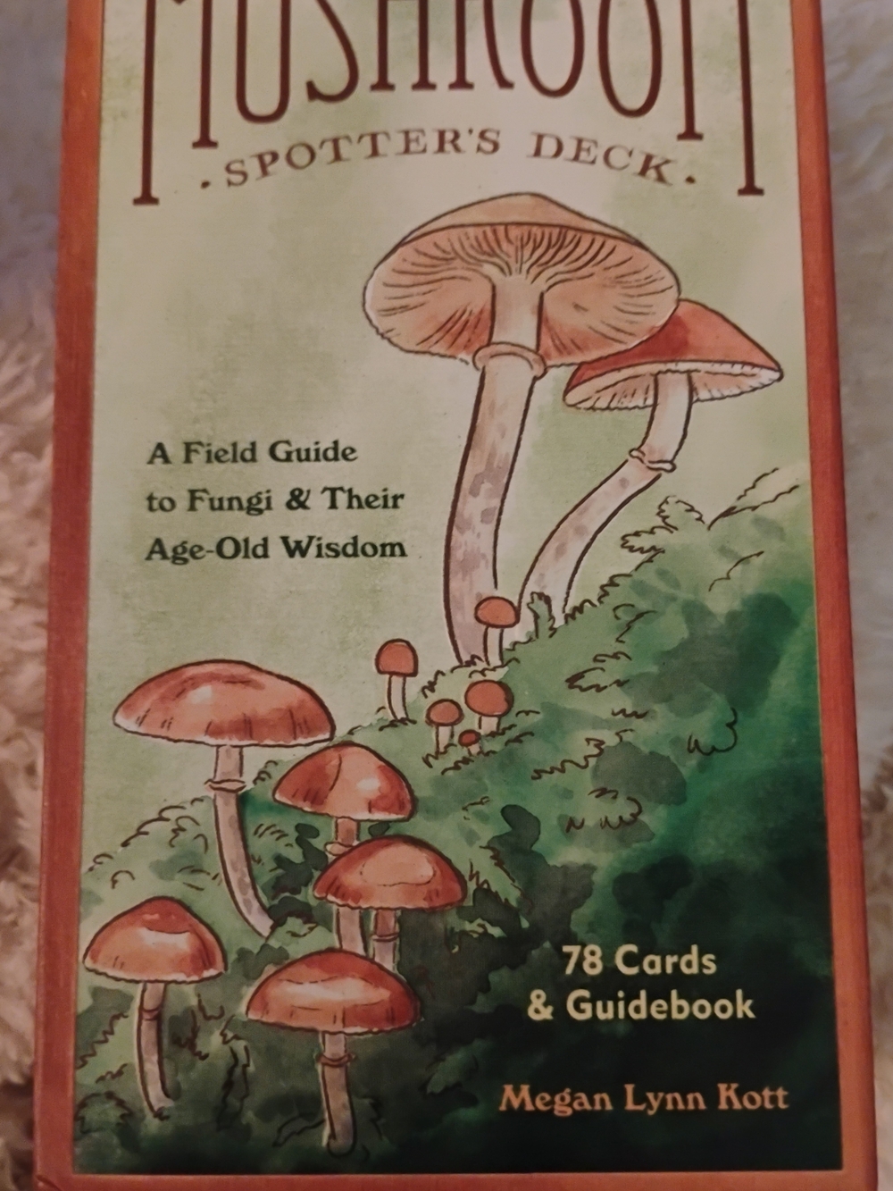Mushroom Spotter's Deck - Illustrated Mushroom Cards in Green & Orange